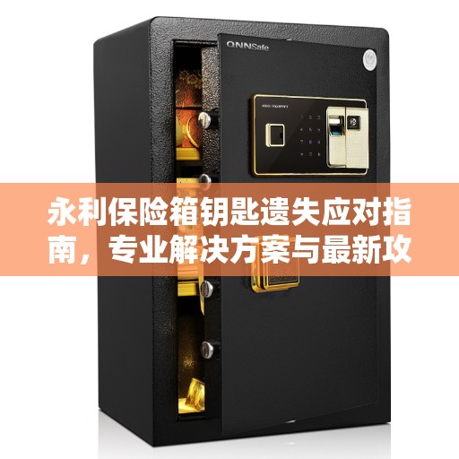 永利保险箱钥匙遗失应对指南，专业解决方案与最新攻略