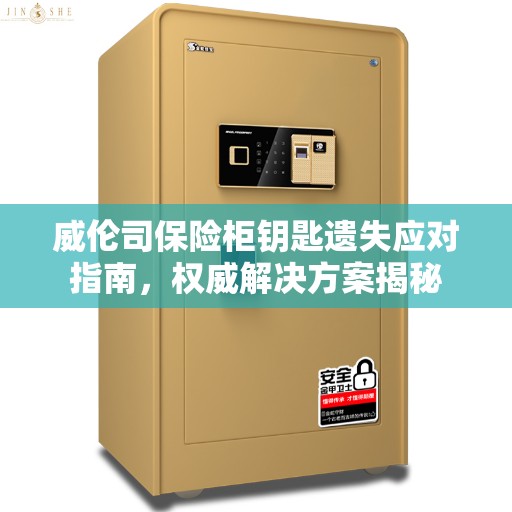 威伦司保险柜钥匙遗失应对指南，权威解决方案揭秘