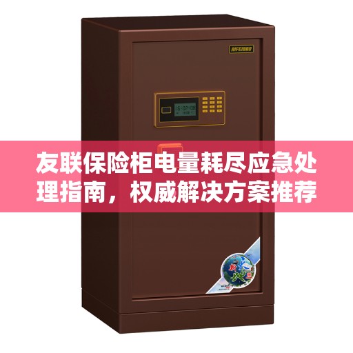 友联保险柜电量耗尽应急处理指南，权威解决方案推荐