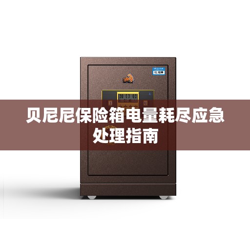 贝尼尼保险箱电量耗尽应急处理指南