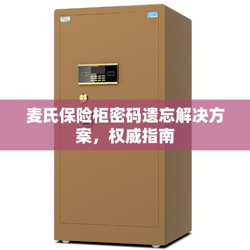 麦氏保险柜密码遗忘解决方案，权威指南