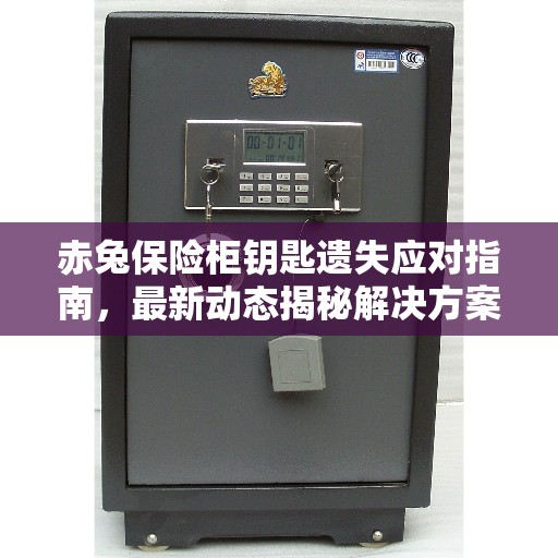 赤兔保险柜钥匙遗失应对指南，最新动态揭秘解决方案