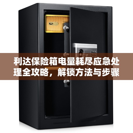 利达保险箱电量耗尽应急处理全攻略，解锁方法与步骤详解