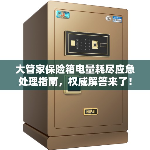 大管家保险箱电量耗尽应急处理指南，权威解答来了！