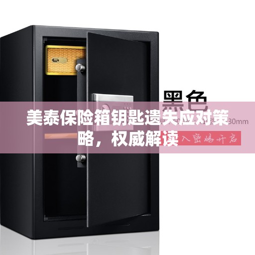 美泰保险箱钥匙遗失应对策略，权威解读