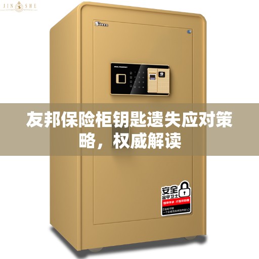 友邦保险柜钥匙遗失应对策略，权威解读