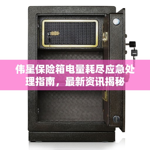 伟星保险箱电量耗尽应急处理指南，最新资讯揭秘
