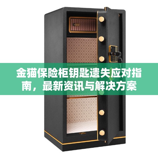 金猫保险柜钥匙遗失应对指南，最新资讯与解决方案