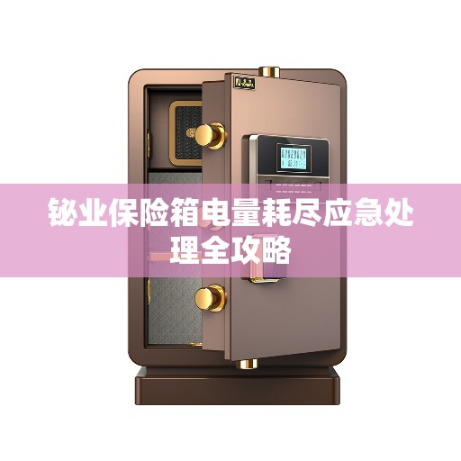 铋业保险箱电量耗尽应急处理全攻略