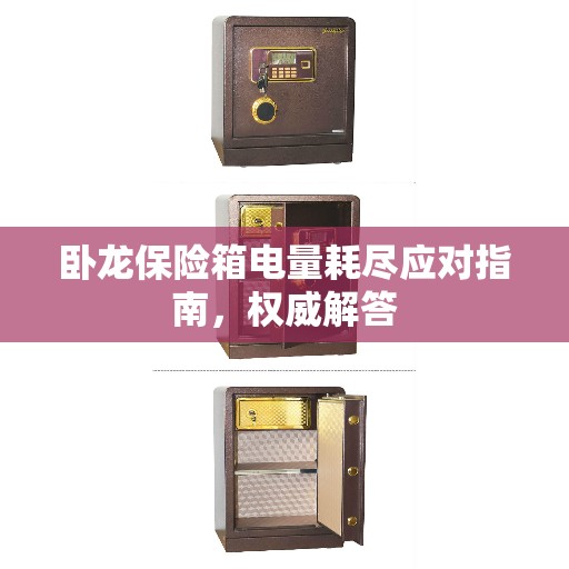 卧龙保险箱电量耗尽应对指南，权威解答