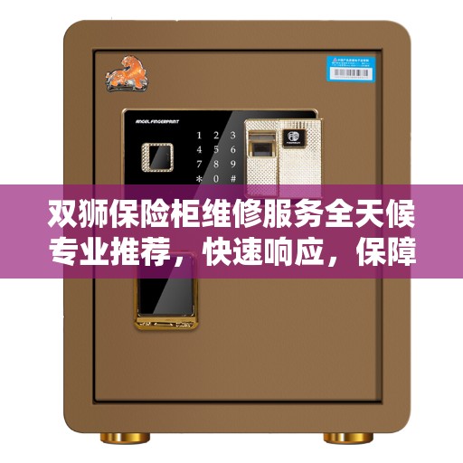 双狮保险柜维修服务全天候专业推荐，快速响应，保障您的安全需求