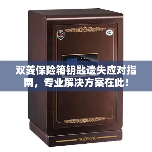 双菱保险箱钥匙遗失应对指南，专业解决方案在此！