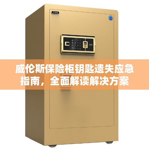 威伦斯保险柜钥匙遗失应急指南，全面解读解决方案