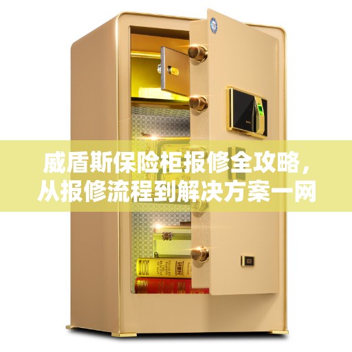 威盾斯保险柜报修全攻略，从报修流程到解决方案一网打尽