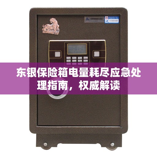 东银保险箱电量耗尽应急处理指南，权威解读
