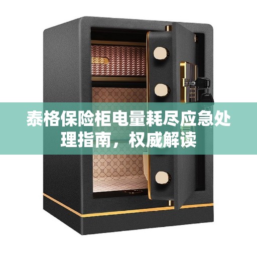 泰格保险柜电量耗尽应急处理指南，权威解读