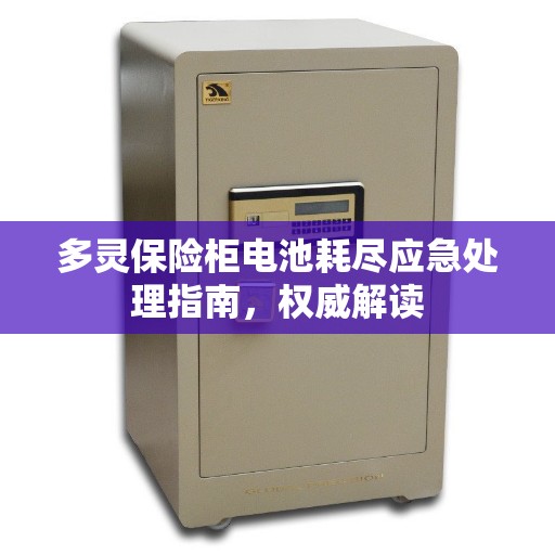 多灵保险柜电池耗尽应急处理指南，权威解读