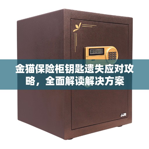金猫保险柜钥匙遗失应对攻略，全面解读解决方案