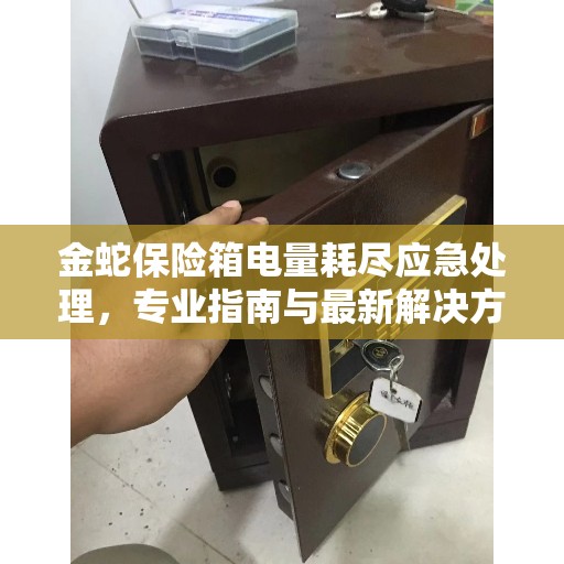 金蛇保险箱电量耗尽应急处理，专业指南与最新解决方案