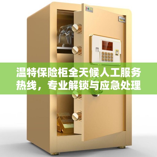 温特保险柜全天候人工服务热线，专业解锁与应急处理权威指南