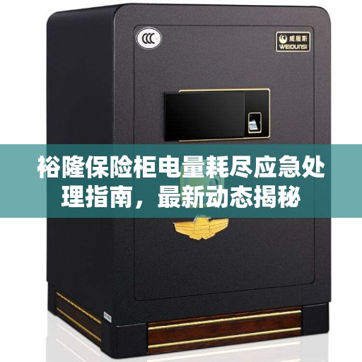 裕隆保险柜电量耗尽应急处理指南，最新动态揭秘