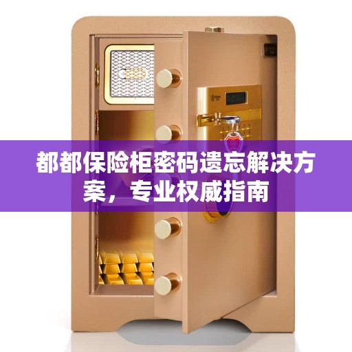 都都保险柜密码遗忘解决方案，专业权威指南