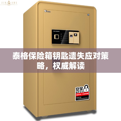 泰格保险箱钥匙遗失应对策略，权威解读