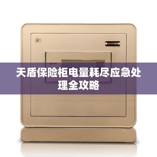 天盾保险柜电量耗尽应急处理全攻略