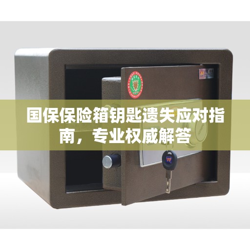 国保保险箱钥匙遗失应对指南，专业权威解答