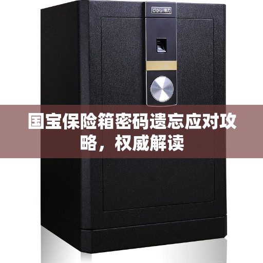 国宝保险箱密码遗忘应对攻略，权威解读