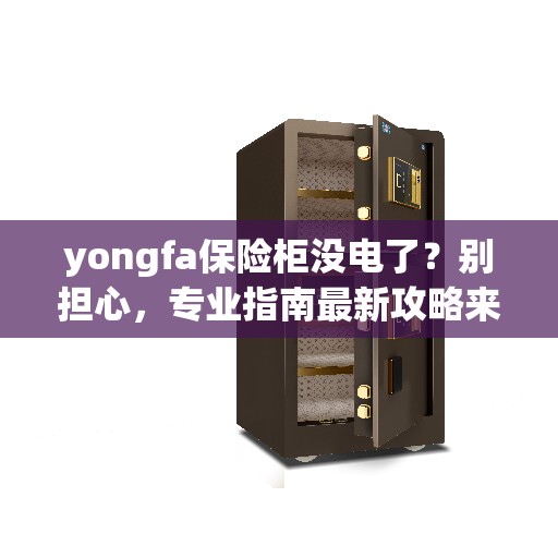 yongfa保险柜没电了？别担心，专业指南最新攻略来帮你解决！