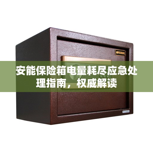 安能保险箱电量耗尽应急处理指南，权威解读