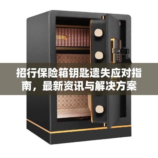 招行保险箱钥匙遗失应对指南，最新资讯与解决方案