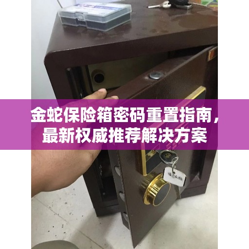 金蛇保险箱密码重置指南，最新权威推荐解决方案
