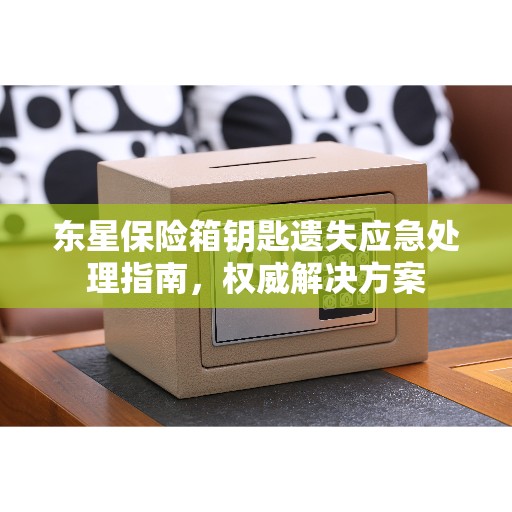 东星保险箱钥匙遗失应急处理指南,权威解决方案 东星保险箱钥匙遗失应急处理指南,权威解决方案