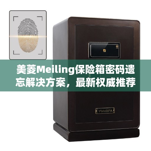 美菱Meiling保险箱密码遗忘解决方案，最新权威推荐方法