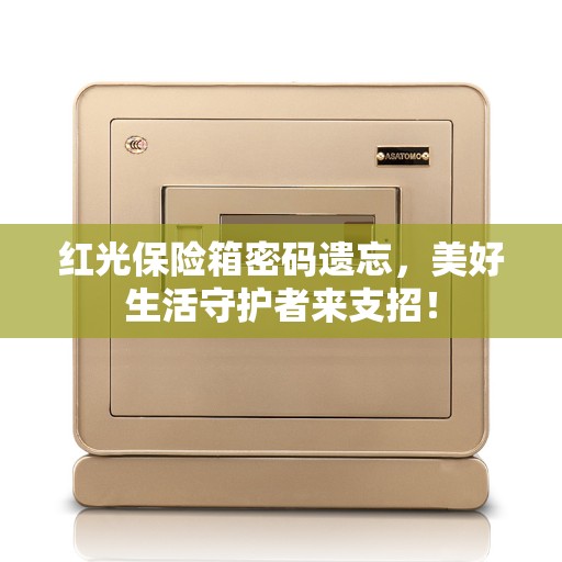 红光保险箱密码遗忘，美好生活守护者来支招！