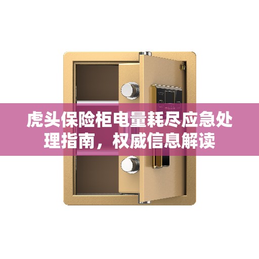 虎头保险柜电量耗尽应急处理指南，权威信息解读