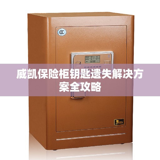 威凯保险柜钥匙遗失解决方案全攻略