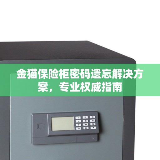 金猫保险柜密码遗忘解决方案，专业权威指南