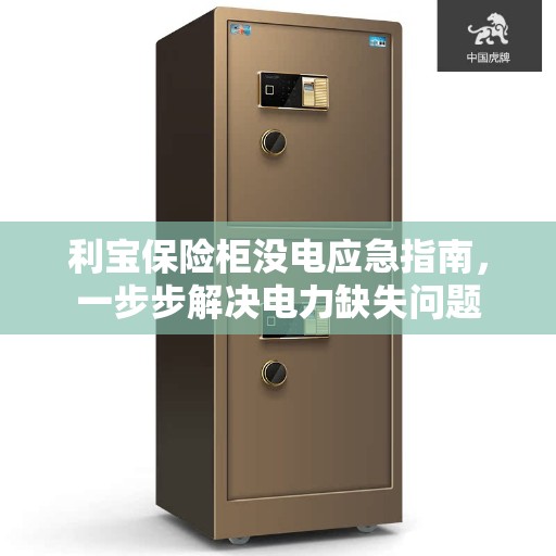 利宝保险柜没电应急指南，一步步解决电力缺失问题