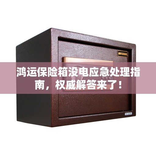 鸿运保险箱没电应急处理指南，权威解答来了！