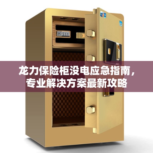 龙力保险柜没电应急指南，专业解决方案最新攻略