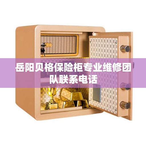 岳阳贝格保险柜专业维修团队联系电话