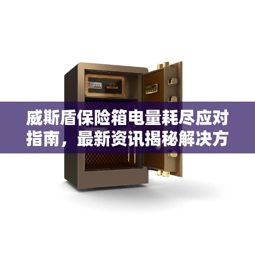 威斯盾保险箱电量耗尽应对指南，最新资讯揭秘解决方案