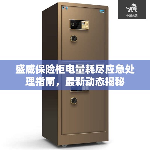盛威保险柜电量耗尽应急处理指南，最新动态揭秘