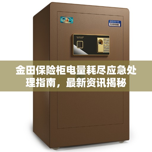 金田保险柜电量耗尽应急处理指南，最新资讯揭秘