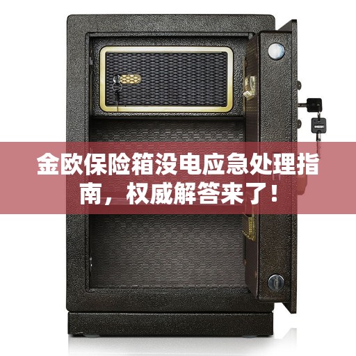 金欧保险箱没电应急处理指南，权威解答来了！