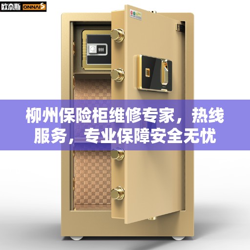 柳州保险柜维修专家，热线服务，专业保障安全无忧