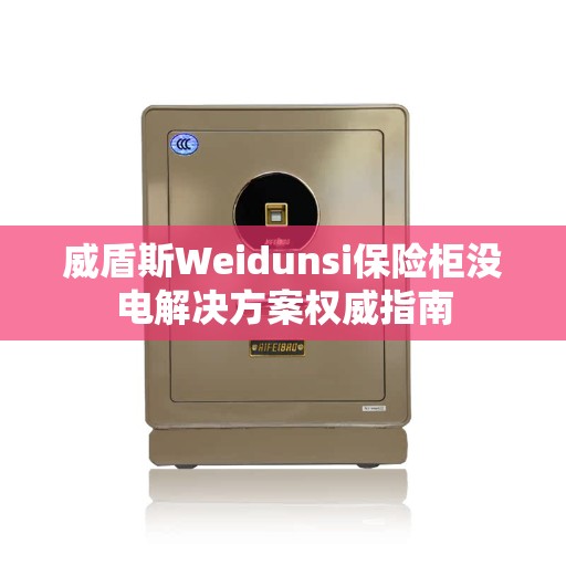 威盾斯Weidunsi保险柜没电解决方案权威指南